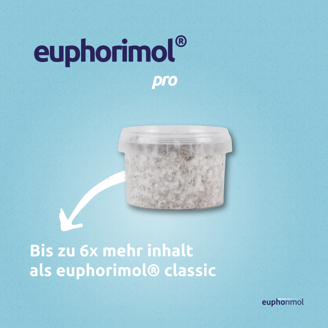 Euphorimol Trüffelbox