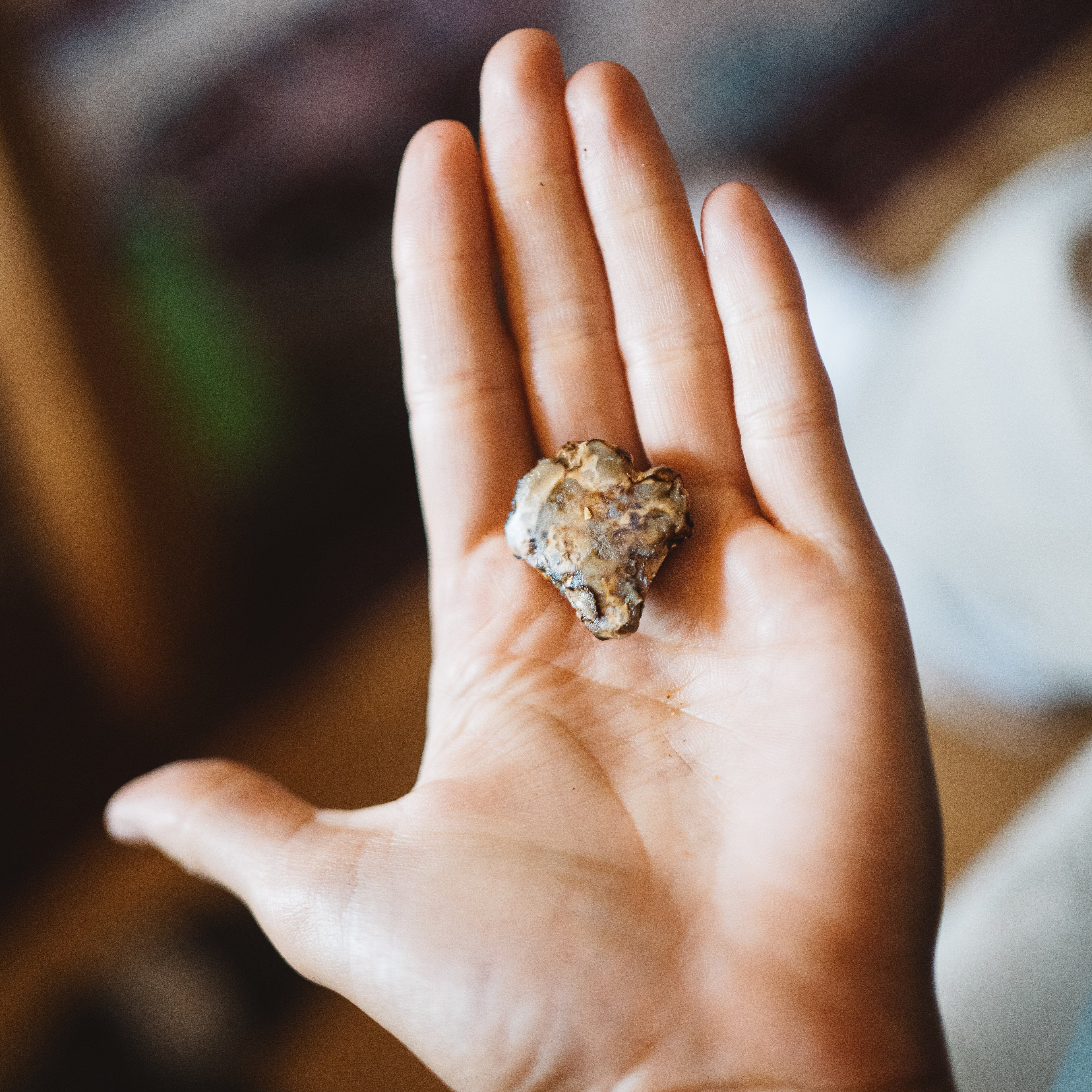 Magic Trüffel auf Hand