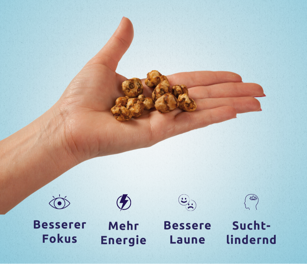 Euphorimol Classic Vorteile Infografik